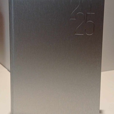 Agenda Diária 14X21 Luna Prata