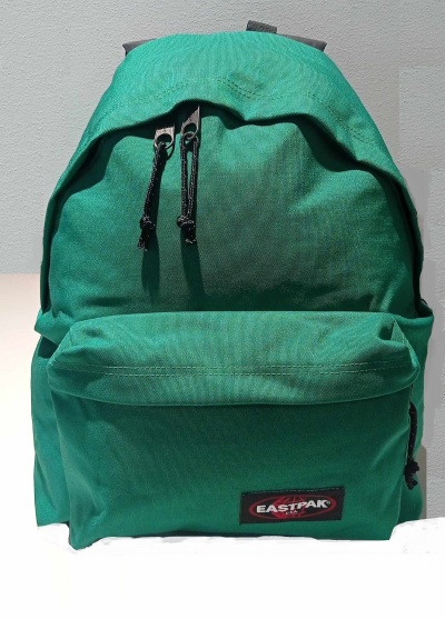 Mochila Eastpak Padded Pak´R Kurlywurly Green