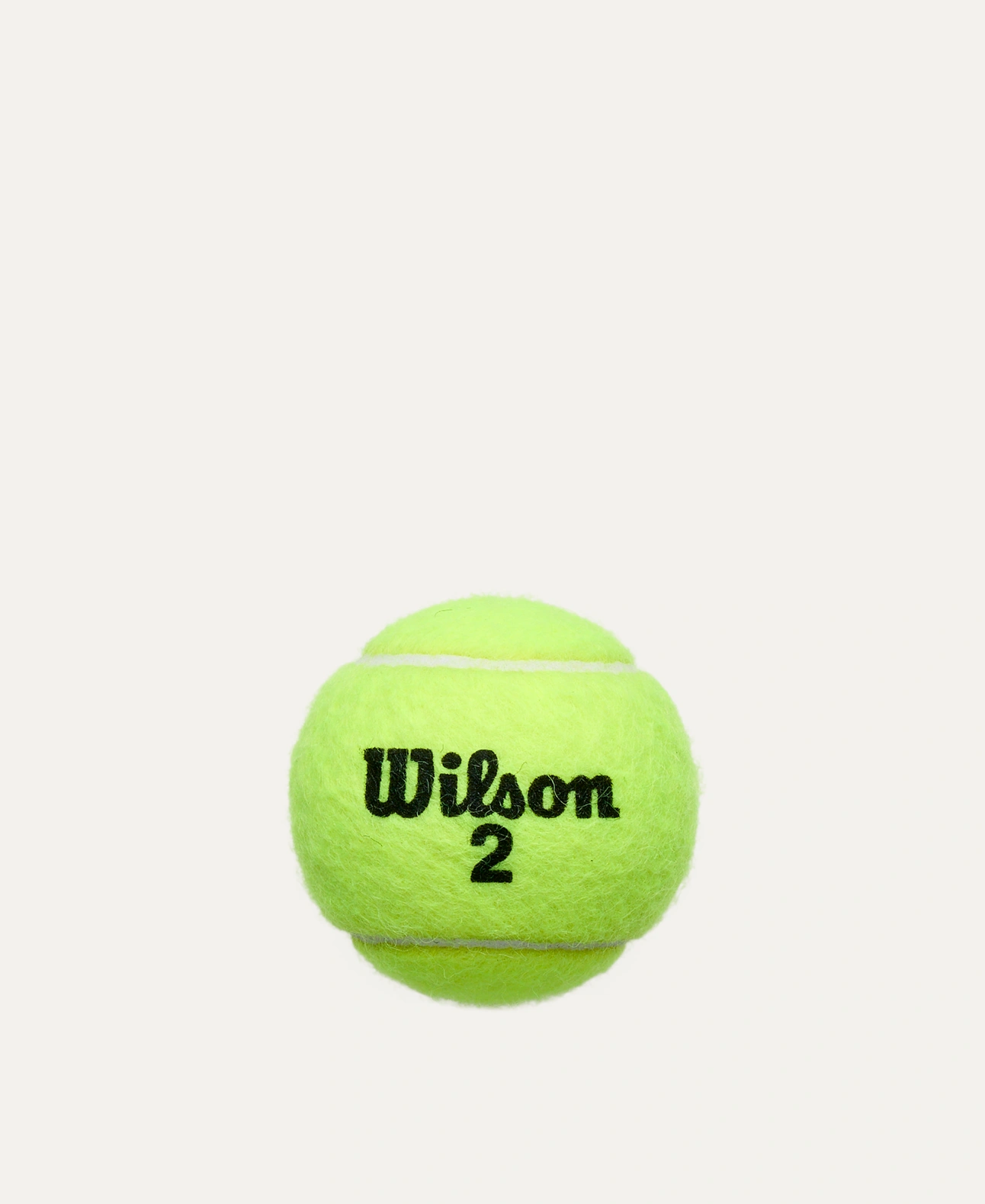 WILSON Roland Garros Clay Ct 4 Ball