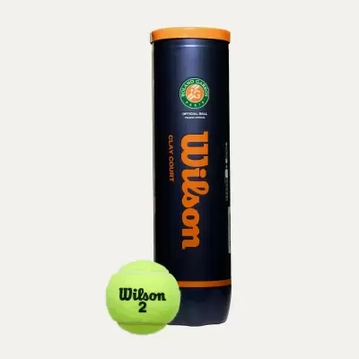 WILSON Roland Garros Clay Ct 4 Ball