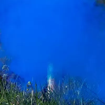 Fumo de Revelação Azul