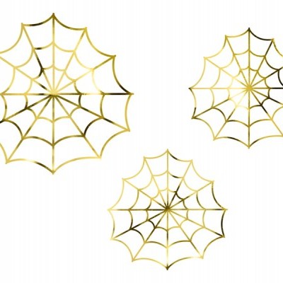 Teia Aranha Dourada