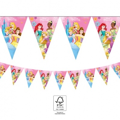 Grinalda Bandeiras Princesas Disney