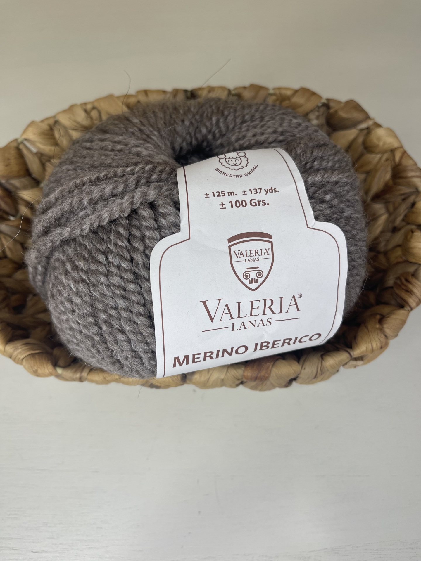 Merino Ibérico - 061