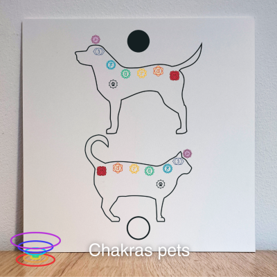 Chakras pets -  Gráfico radiestésico de PEAD 21x21cm