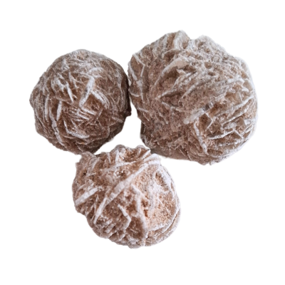 Rosa do deserto média