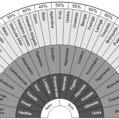 Sistemas órgãos e glândulas - Biômetro de cartolina plastificada A4