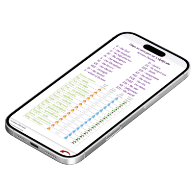 Guia interativo de Tarot para iniciantes