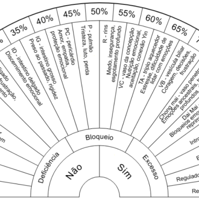 Análise dos meridianos - Biômetro de cartolina plastificada A4