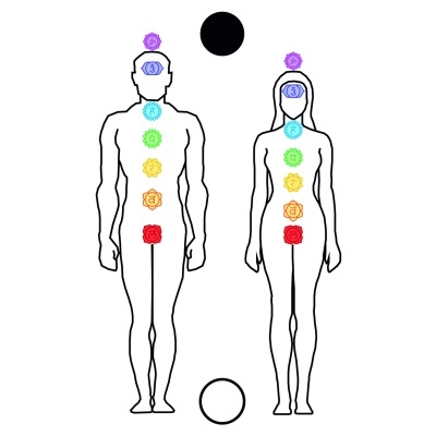 Corpo humano chakras -  gráfico radiestésico de cartolina plastificada