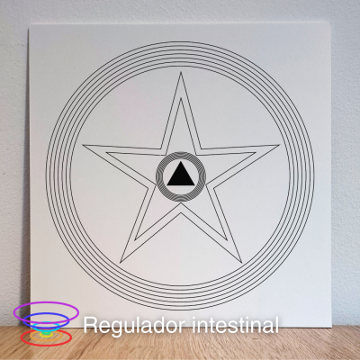 Regulador intestinal - Gráfico radiestésico de PEAD 21x21cm