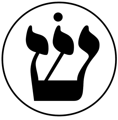 Shin - gráfico radiestésico de cartolina plastificada