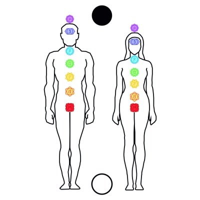 Corpo humano chakras -  gráfico radiestésico de cartolina plastificada