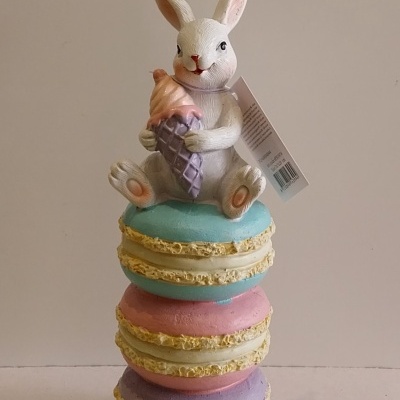 Coelho sentado nos macarons.