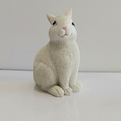 Coelho branco  sentado.