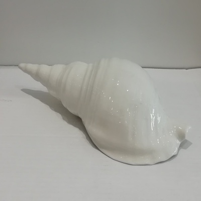 Buzio branco em cerâmica.