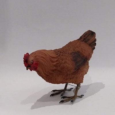 Galinha castanha em políresina.