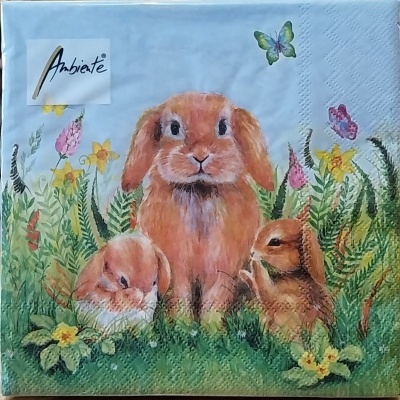 Guardanapos de papel com 3 coelhos castanhos, flores e borboletas, tamanho pequeno.