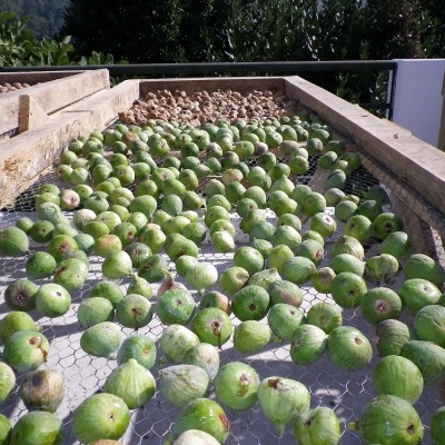 Figos Secos Figos Secos