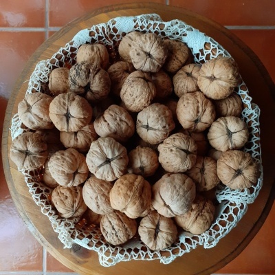 Serviço Gratuito "A minha Quinta" Serviço Gratuito "A minha Quinta"