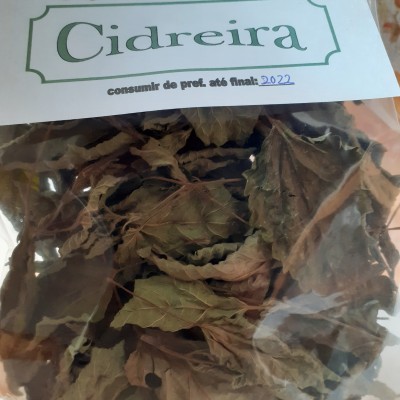 Chá de cidreira