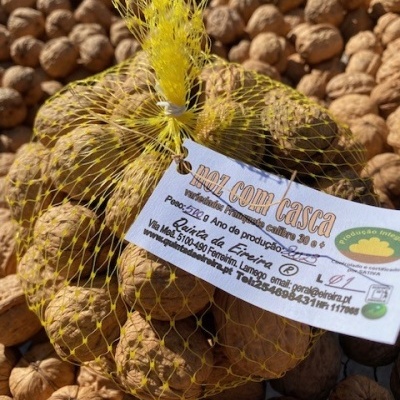 Nozes com casca Franquete, Categoria «extra», Calibre 30 e + Nozes com casca Franquete, Categoria «extra», Calibre 30 e +