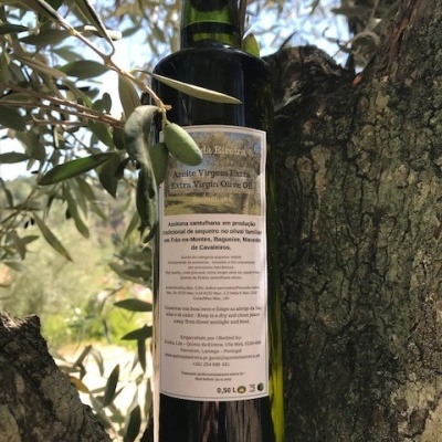 Azeite Virgem Extra - Azeitonas galega, picual e cobrançosa-0.50 L