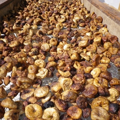 Figos Secos Figos Secos