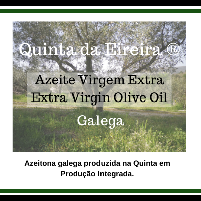 Azeite Virgem Extra - Azeitona Galega - BIB 5L