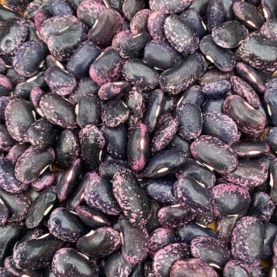 Feijoca Roxa Feijoca Roxa