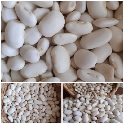 Leguminosas e a Dieta Mediterrânica