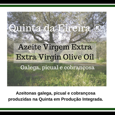 Azeite Virgem Extra - Escolha as variedades de azeitona-1L Azeite Virgem Extra - Escolha as variedades de azeitona-1L