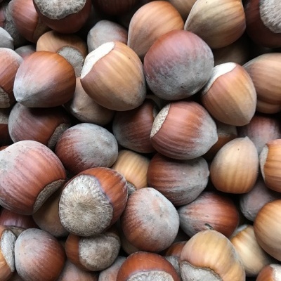 Cabaz Familiar de azeite, vinho, frutos secos, óleo de noz e uma compota à escolha