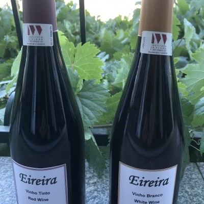 Serviço Gratuito "A minha Quinta" Serviço Gratuito "A minha Quinta"