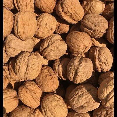 Nozes com casca Franquete, Categoria «extra», Calibre 30 e + Nozes com casca Franquete, Categoria «extra», Calibre 30 e +