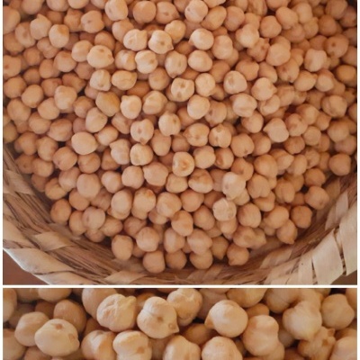 Grão-de-Bico Grão-de-Bico