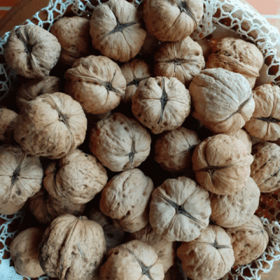 Nozes com casca Lara, Categoria «extra», Calibre 34 e +