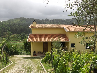 Serviços Gratuitos de Subscrição