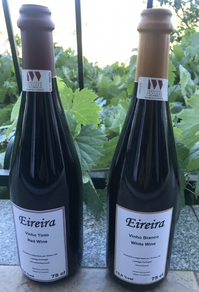 Serviço Gratuito "Os meus Vinhos"