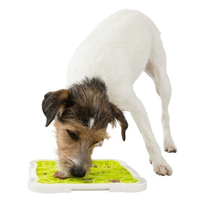 Placa "Lick'n'Snack" (Para ingestão lenta)