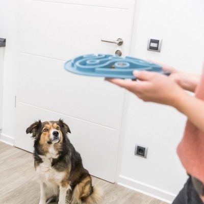 Tabuleiro "Slow Feeder" (28 cm)