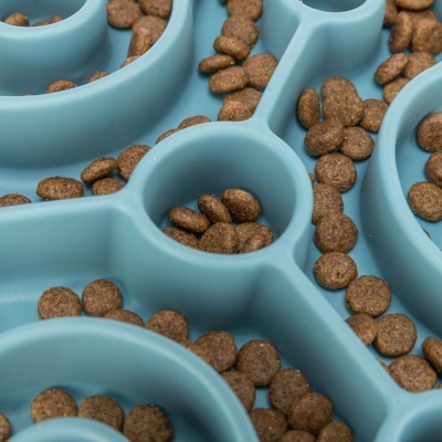 Tabuleiro "Slow Feeder" (28 cm)