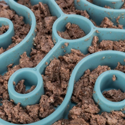 Tabuleiro "Slow Feeder" (28 cm)