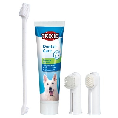 Conjunto de higiente dentária para cães