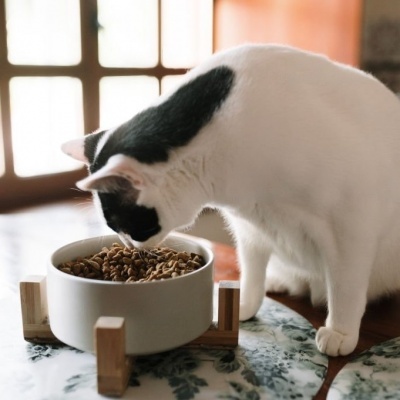 Comedouros/Bebedouros