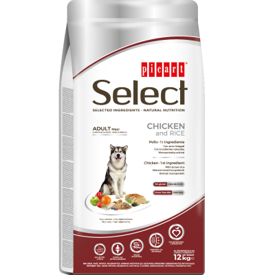 Picart Select Cão Adulto Maxi - Frango e Arroz (12 Kg)