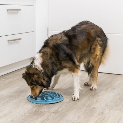 Tabuleiro "Slow Feeder" (28 cm)