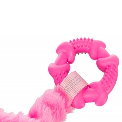 Brinquedo para Cão "Tugger Bungee" com argola
