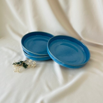 Saladeira/Prato Pasta Azul