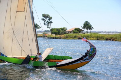 Regata de barcos  tradicionais "Moliceiros"
